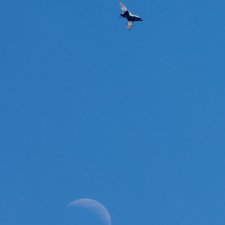 2012-05-26 13-39-08_smx.jpg